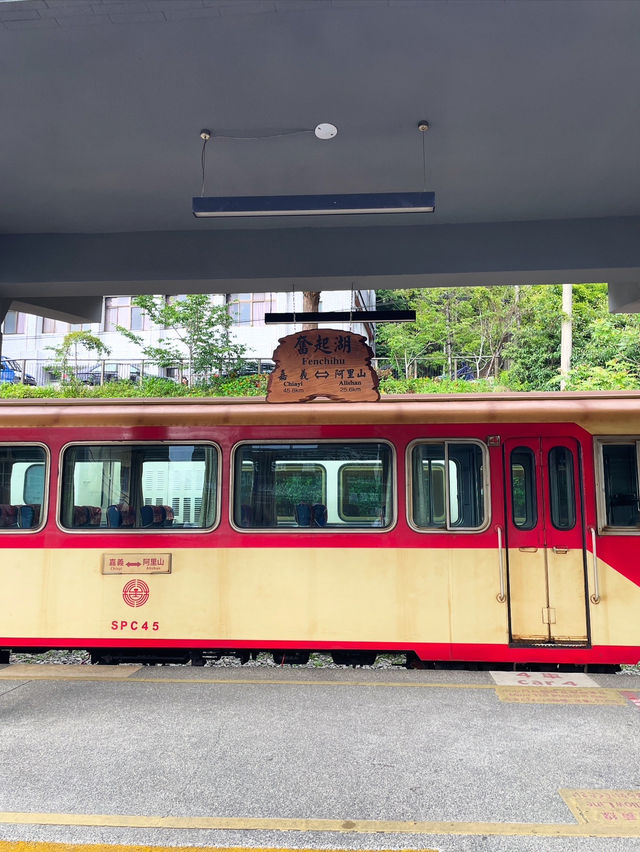 懷念的阿里山森林小火車