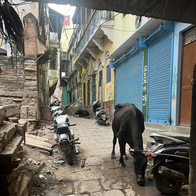 インド🇮🇳アラサー女1人旅！