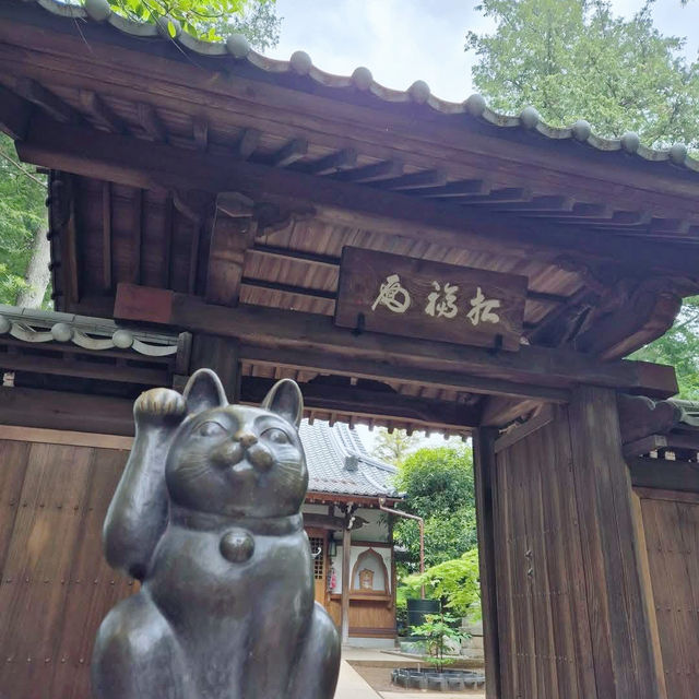 Lucky Cats and Quiet Paths: The Charm of Gotokuji Temple 🇯🇵