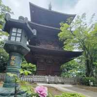 Lucky Cats and Quiet Paths: The Charm of Gotokuji Temple 🇯🇵