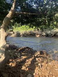 Glamping in Ranong