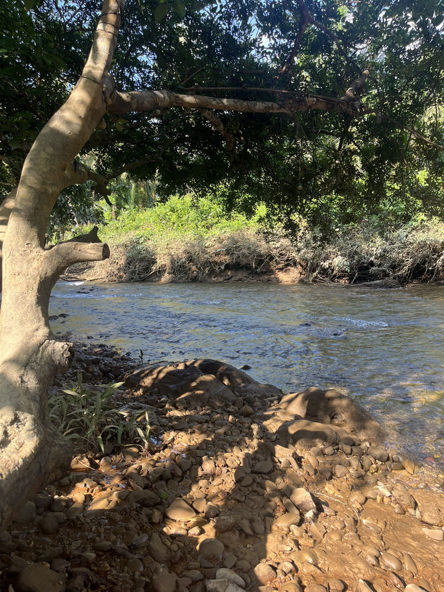 Glamping in Ranong