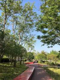A Wetland Oasis by the River – Houtan Park, Shanghai