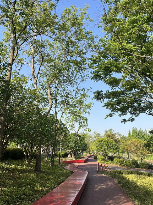 A Wetland Oasis by the River – Houtan Park, Shanghai