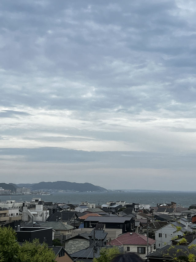 えっ、長谷寺って、紫陽花だけじゃないの？🇯🇵✈️🌎