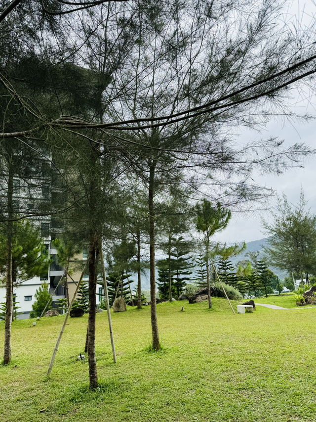 Coffee Under the Pines at The Qiū 