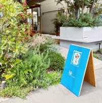 Pati coffee & plants