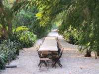 Soak in Nature at Whispering Cafe