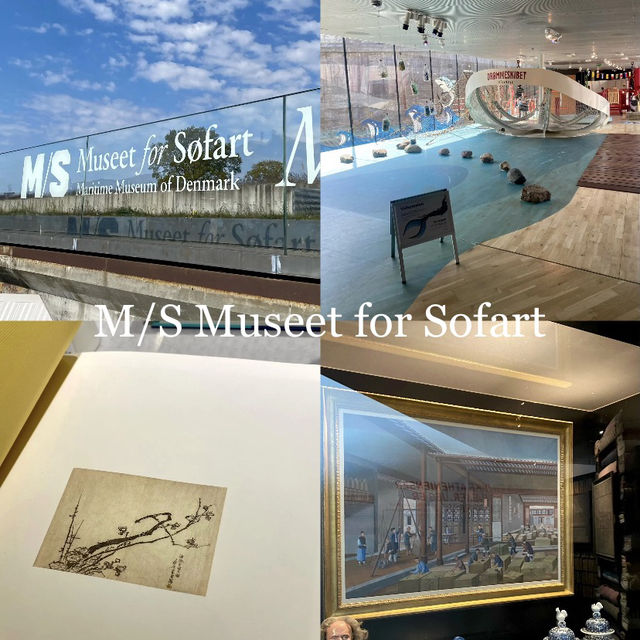 Denmark's Hidden Gem: The Danish Maritime Museum! 🚢⚓🇩🇰