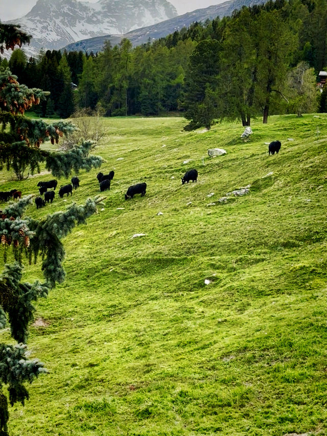 St. Moritz Bad – Tranquil Base by the Lake with Spa & Ski Access