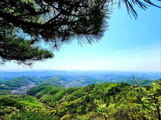 Clouds, Pines, and Peace