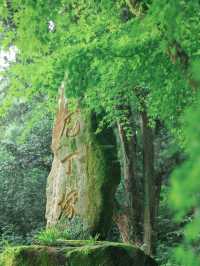 【福岡】梅雨の期間限定の絶景！