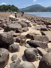 🧊🏝️玻璃水海島一天遊⛰️