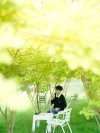 ภูผาราชันย์ คาเฟ่บ้านมุง