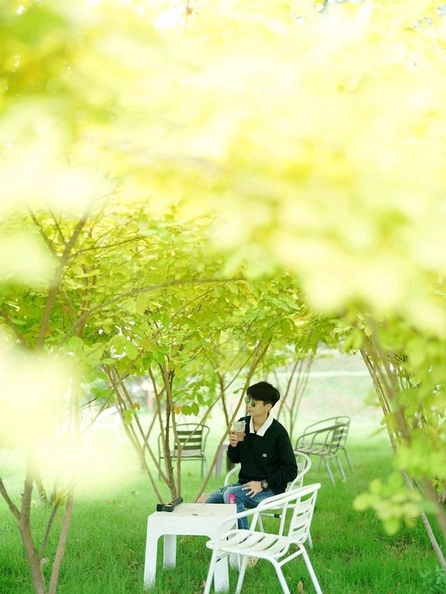 ภูผาราชันย์ คาเฟ่บ้านมุง