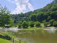 【山形】天童の景色を楽しめる天童公園