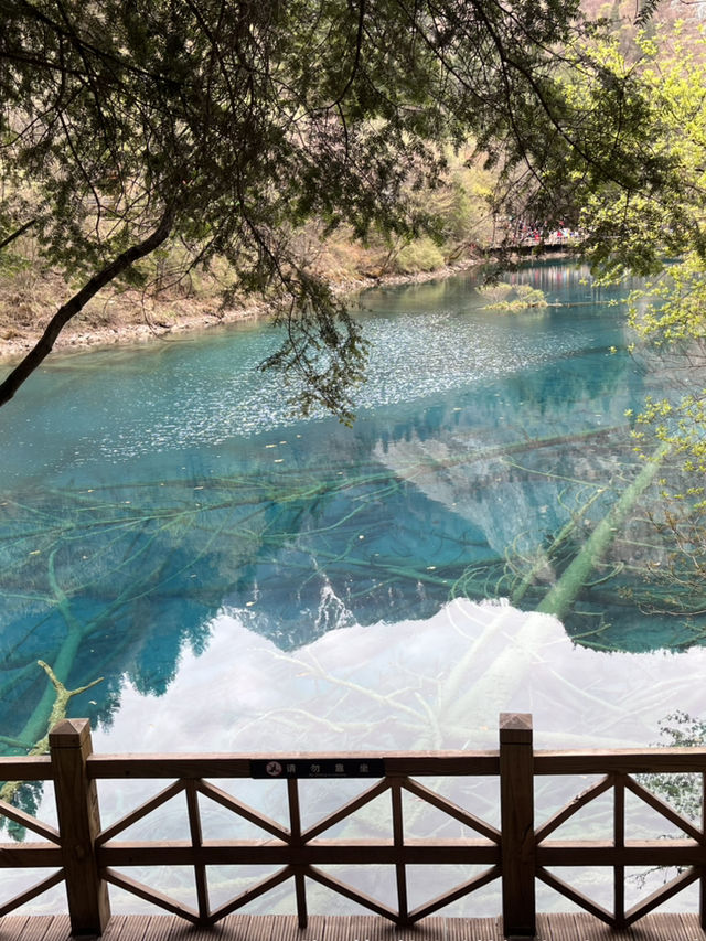 Where waterfalls sing and lakes mirror the sky: Discover Jiuzhaigou