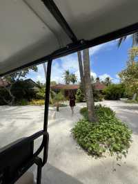 Kurumba life
