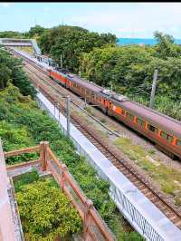🌿 走進時光的鐵道旅程：崎頂車站與子母隧道，一段慢活系的午後散步