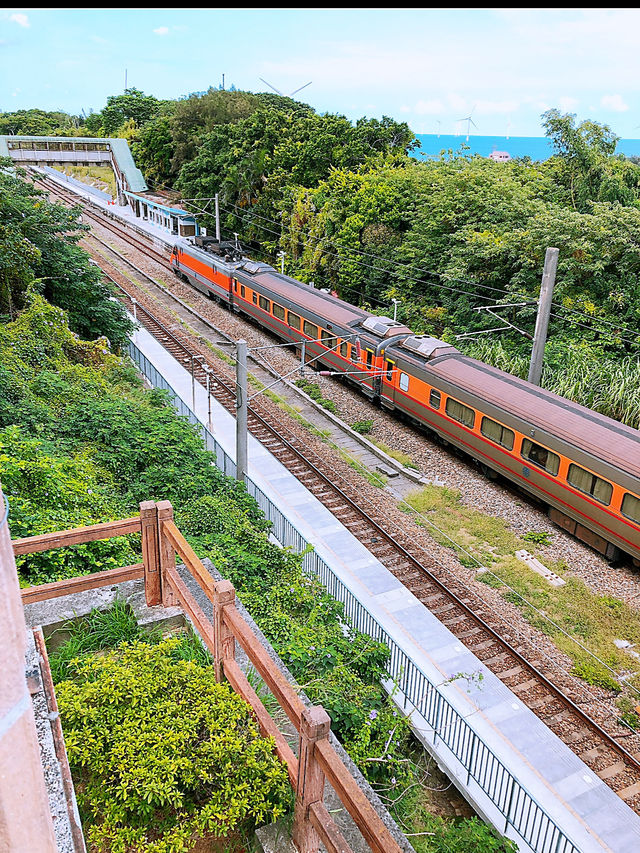 🌿 走進時光的鐵道旅程：崎頂車站與子母隧道，一段慢活系的午後散步