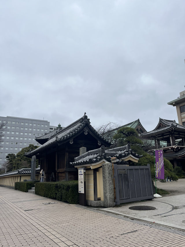 Tochoji Temple — My Peaceful Escape in Fukuoka 🌿🛕