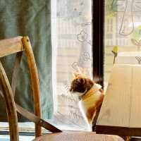 Xiao Chui’s Flying Cafe