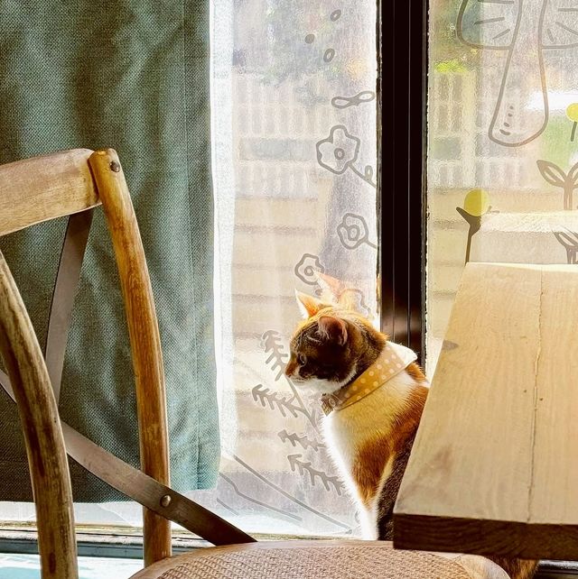 Xiao Chui’s Flying Cafe