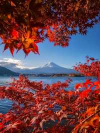 โอซาก้า🇯🇵