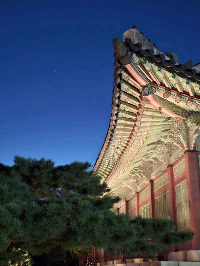 기간한정으로 즐기는 낭만의 경복궁 야간개장!
