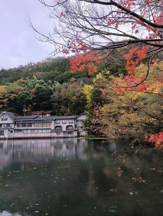 Yufuin สักครั้งที่ต้องมา 🍁
