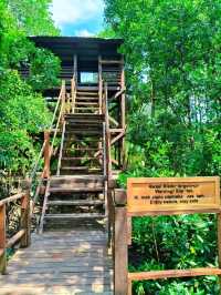 Tanjung Piai: Asia's Southernmost Secret – Discover Where the Continent Ends!