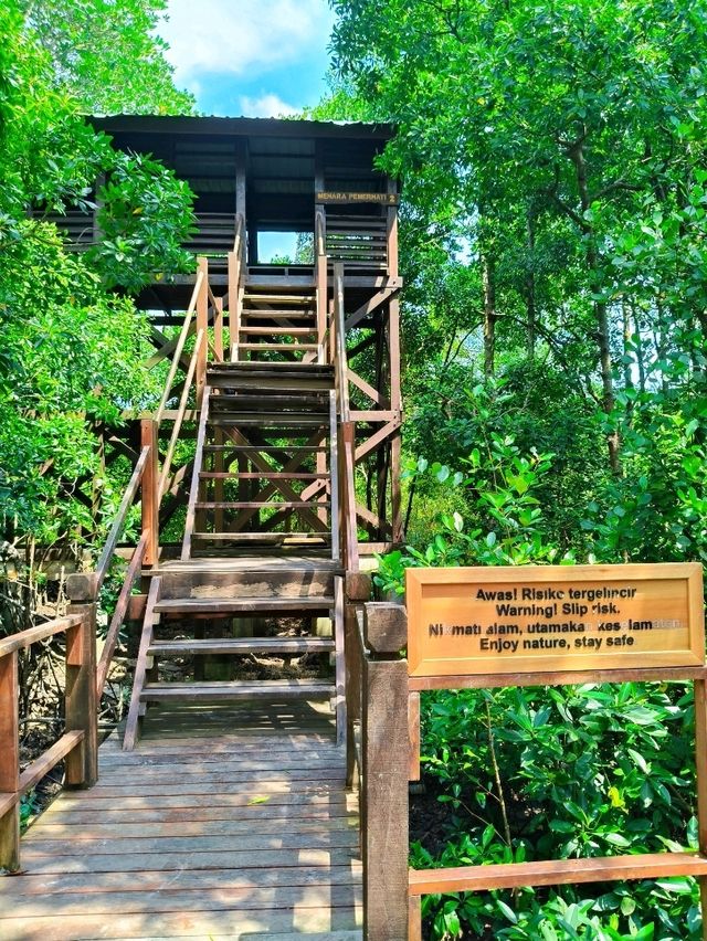 Tanjung Piai: Asia's Southernmost Secret – Discover Where the Continent Ends!