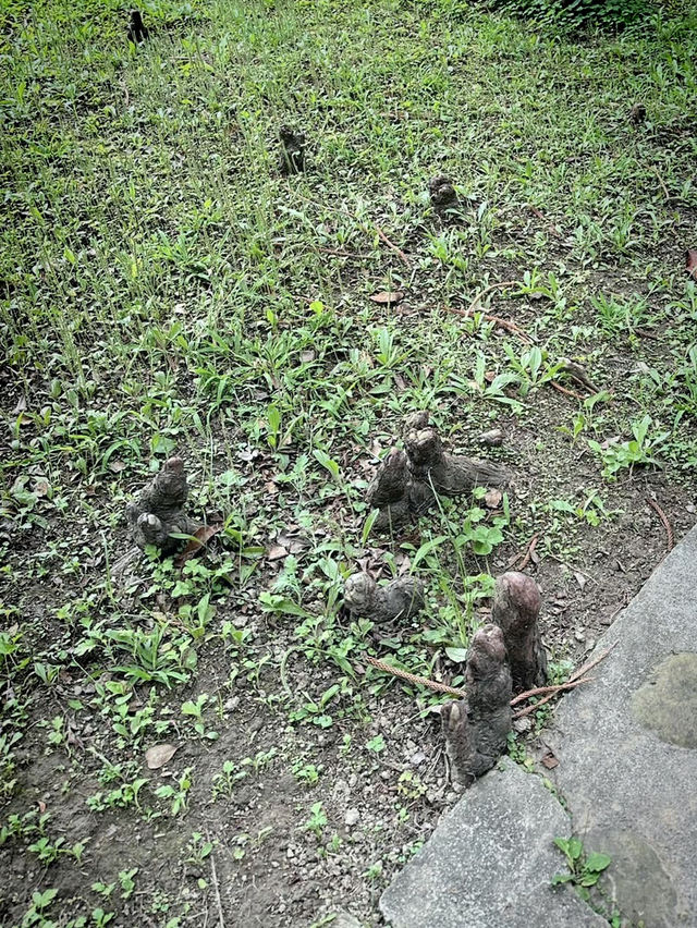 北投行義宮：都市山林中的靜謐祈福之地