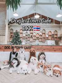 Cuteness overload at a Cafe in BKK 🇹🇭 🐾