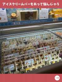 【東京女一人旅】葛飾のパティスリーといえば！絶品アイス＆ケーキのお店