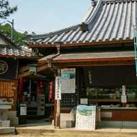 鯖大師