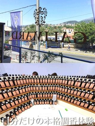 A full-scale perfumery experience in the home of fragrance!