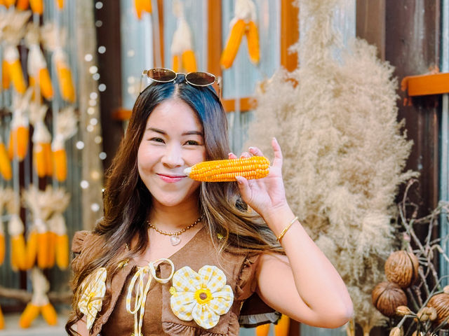 ปาฎี คาเฟ่สวยประจำจังหวัดระยอง