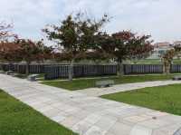 🌿 Reflecting in Peace – A Visit to Peace Memorial Park, Okinawa