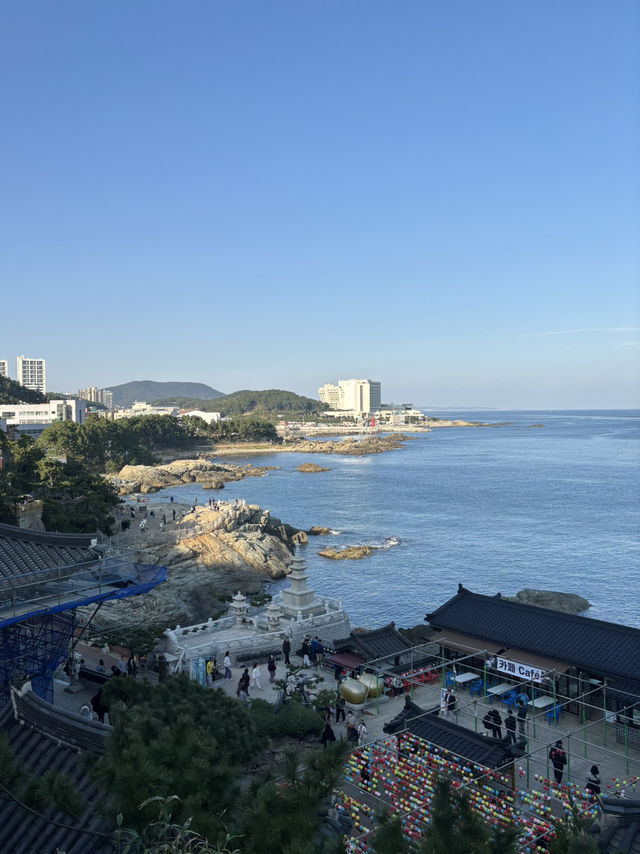 【釜山2泊3日旅】1日目スケジュール&交通手段🚕🚇