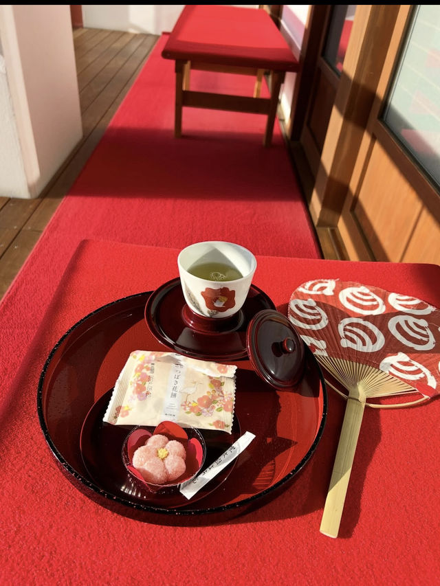 【道後ハイカラ通り】レトロとモダンが交差する、温泉街の小さな冒険🎀🚶‍♀️