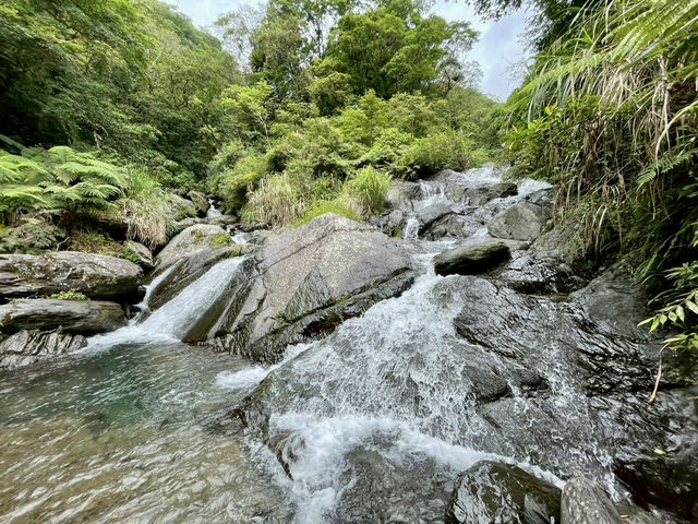 烏來西坑林道～好走又人少；夏天玩水的小秘境