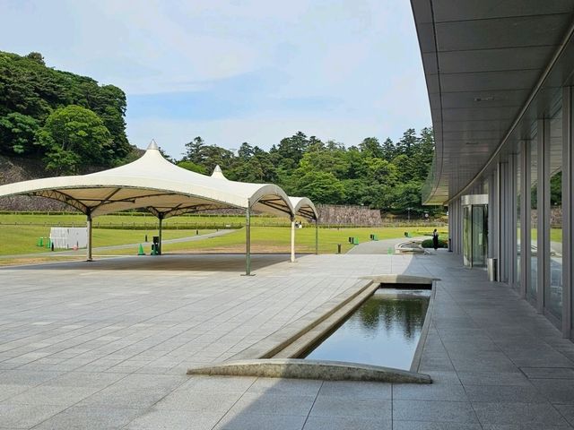 金澤漫步〔しいのき緑地せせらぎ〕光合作用散策 ☀️