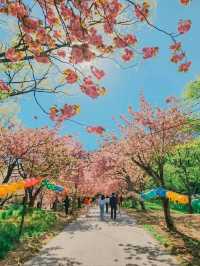 Flower Park at Munsu Temple