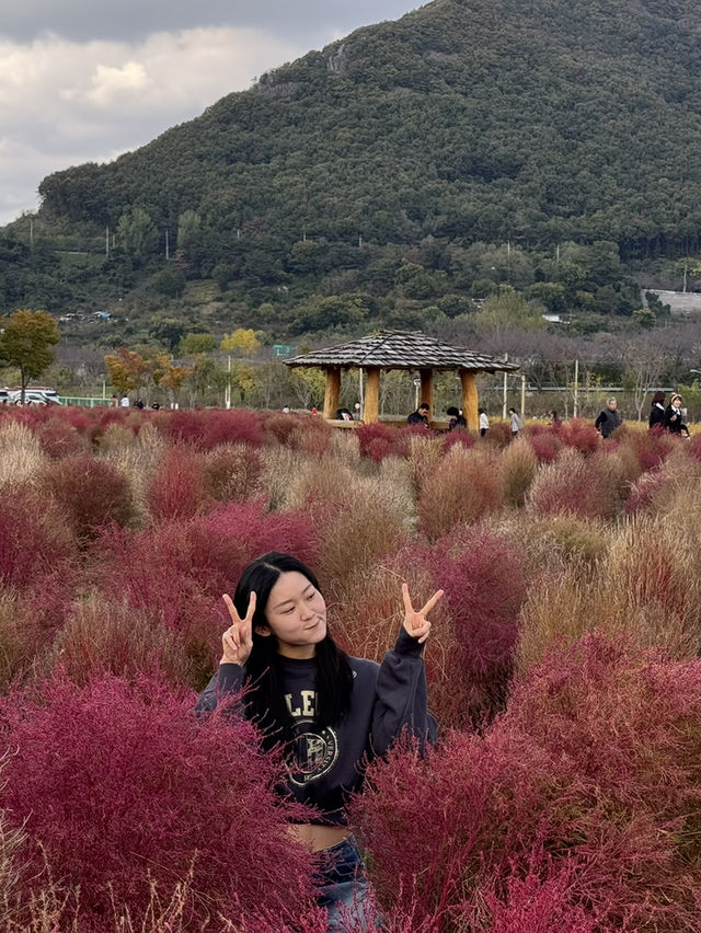 국내 여행지 추천 ❤️🤩