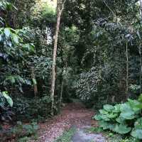 Bukit Brown Cemetery (Free historical walking site)