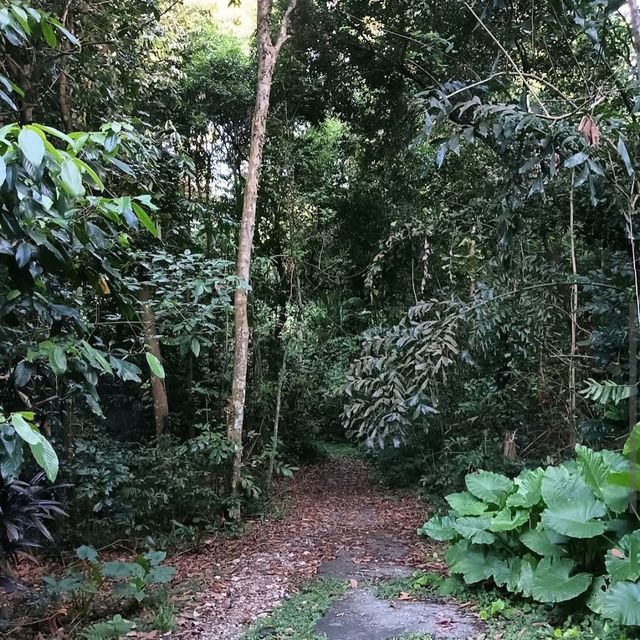 Bukit Brown Cemetery (Free historical walking site)