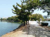 Ohori park | Fukuoka