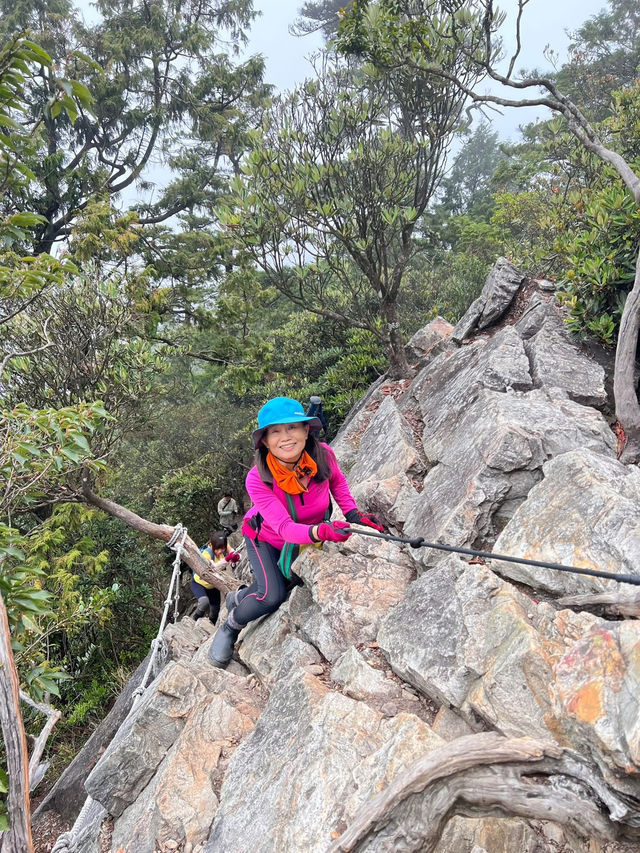 夏天就是要去中級山避暑