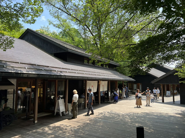 輕井澤星野溫泉 榆樹街小鎮